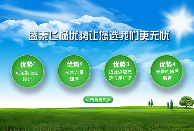 盛泰手机图_副本.jpg